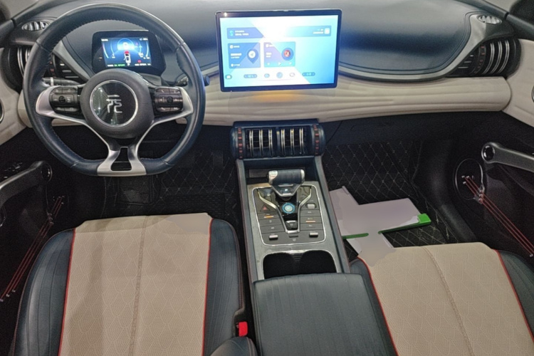 BYD Yuan Plus 2023 car image #10
