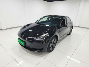 Tesla Model 3 2023 car image 