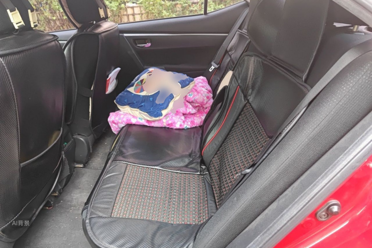 Toyota Corolla 2016 car image #19