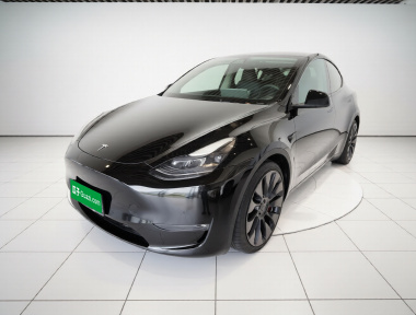 Tesla Model Y 2022 Tesla Model Y 2022 car image