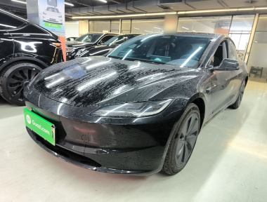 Tesla Model 3 2024 car image 