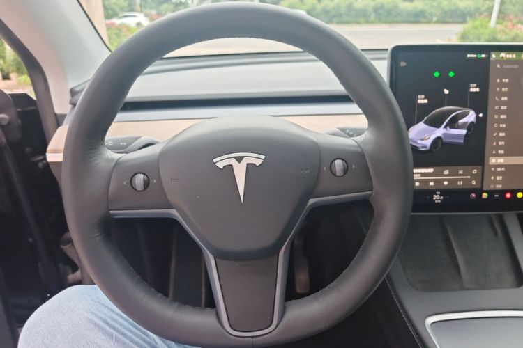 Tesla Model Y 2021 car image #15