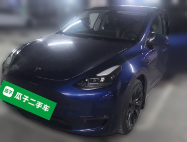 Tesla Model Y 2021 car image 