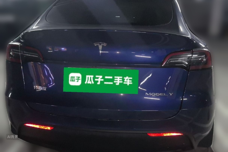 Tesla Model Y 2021 car image #6