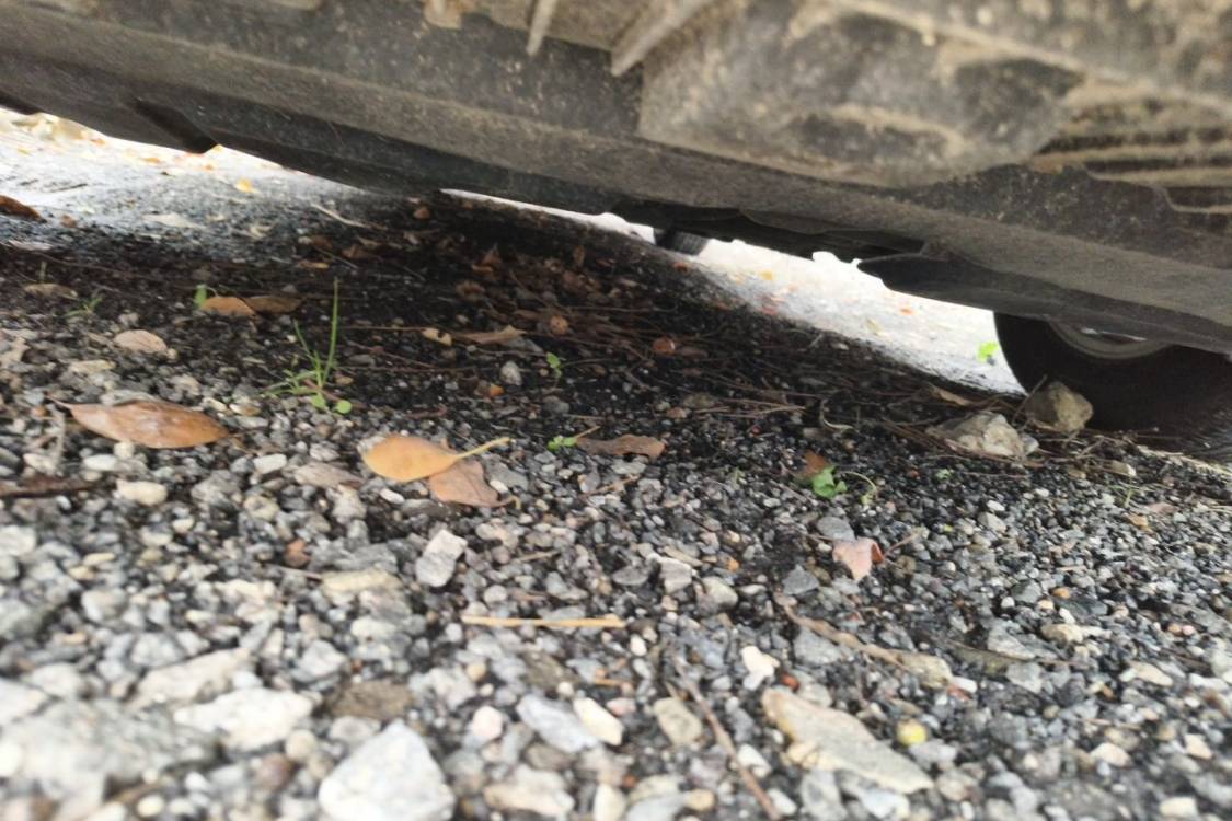 Toyota Corolla 2016 car image #13
