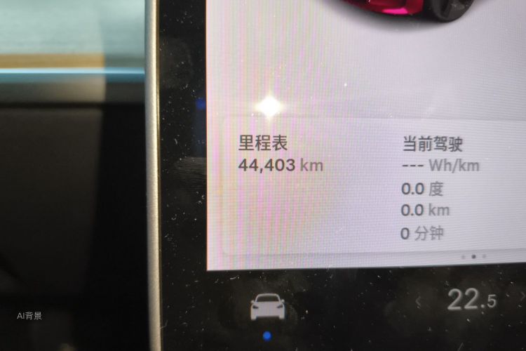 Tesla Model 3 2020 car image #14