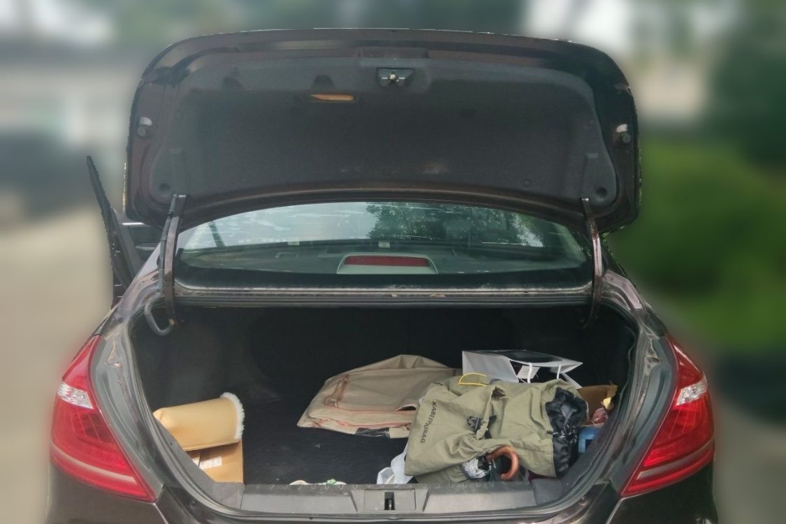 GEELY Emgrand 2015 car image #8