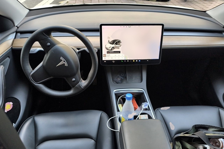 Tesla Model Y 2021 #12 Tesla Model Y 2021 car image #12