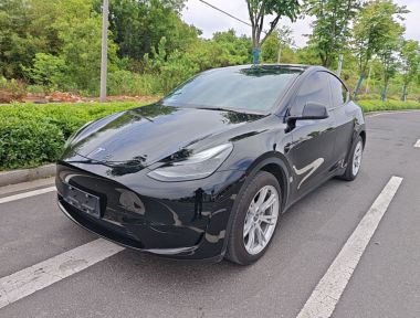 Tesla Model Y 2023 Tesla Model Y 2023 car image