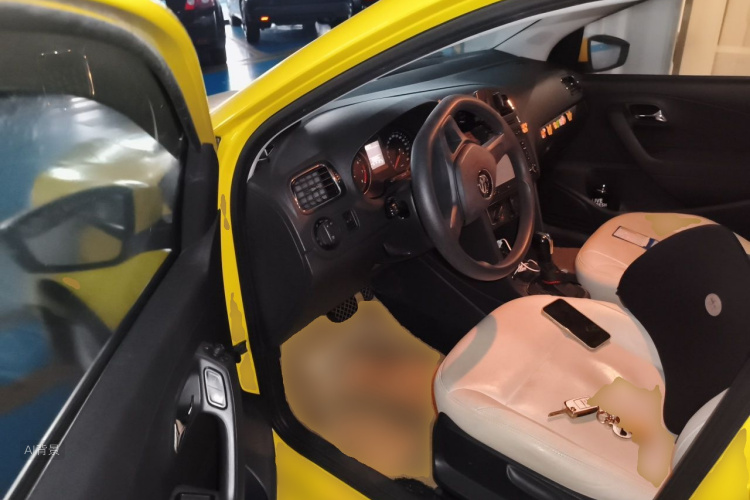 Volkswagen Polo 2015 car image #18