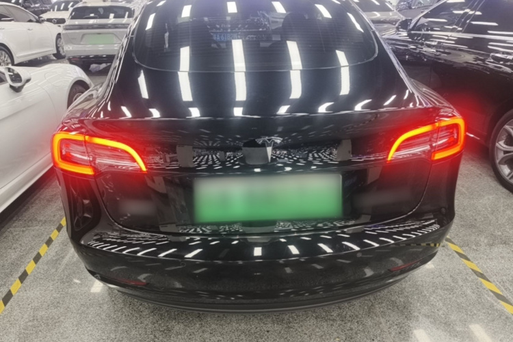 Tesla Model 3 2021 #4 Tesla Model 3 2021 car image #4