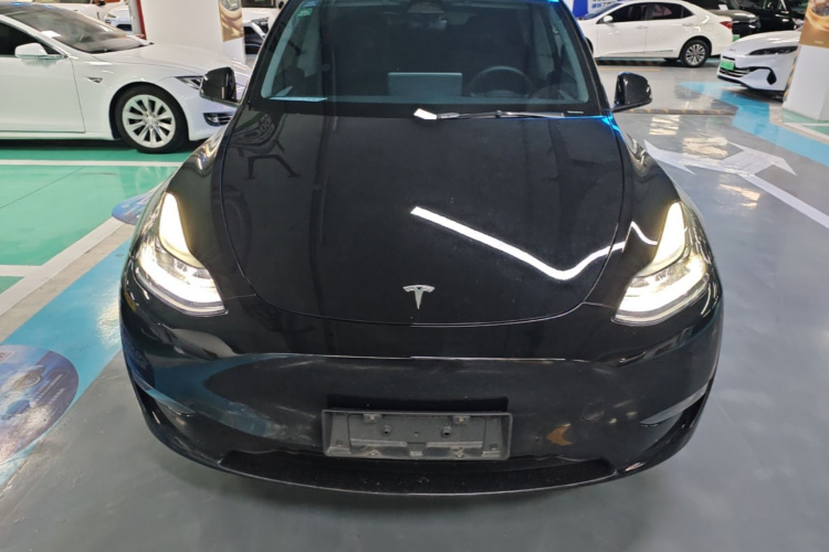 Tesla Model Y 2023 car image #3
