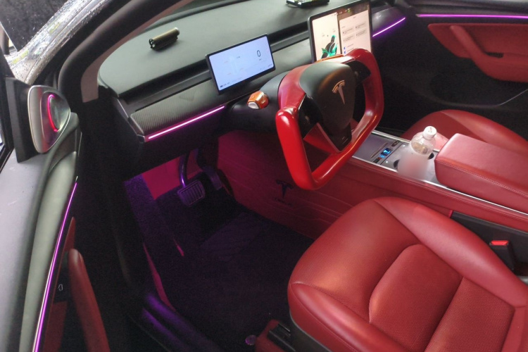 Tesla Model Y 2023 immagine di auto #9