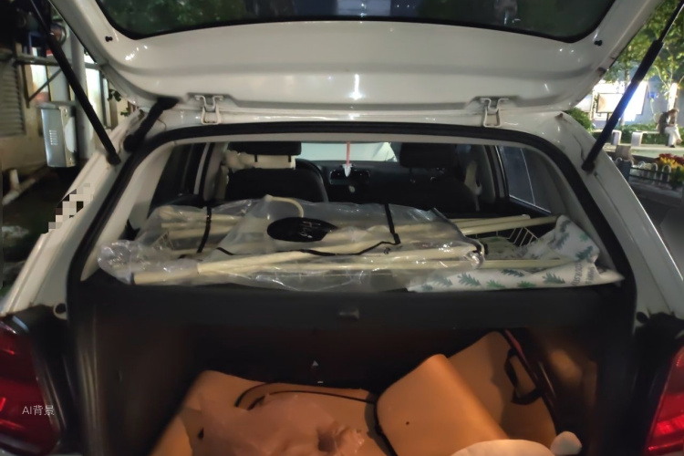 Volkswagen Polo 2015 car image #21
