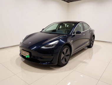Tesla Model 3 2020 car image 