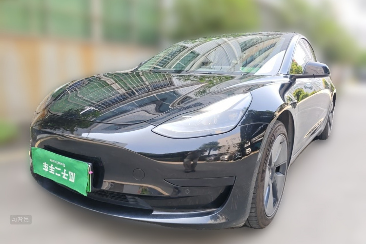 Tesla Model 3 2021 car image #2