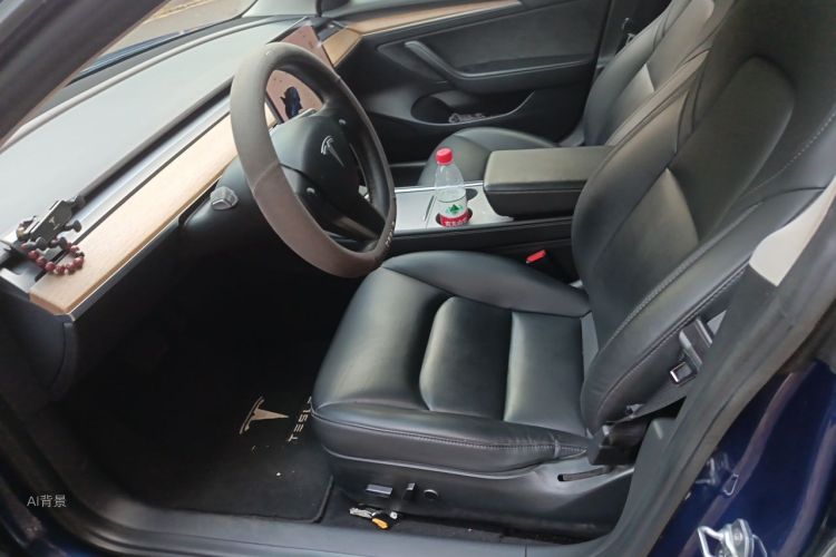 Tesla Model 3 2021 #17 Tesla Model 3 2021 صورة سيارة #17