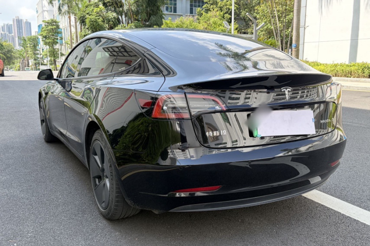 Tesla Model 3 2021 car image #10