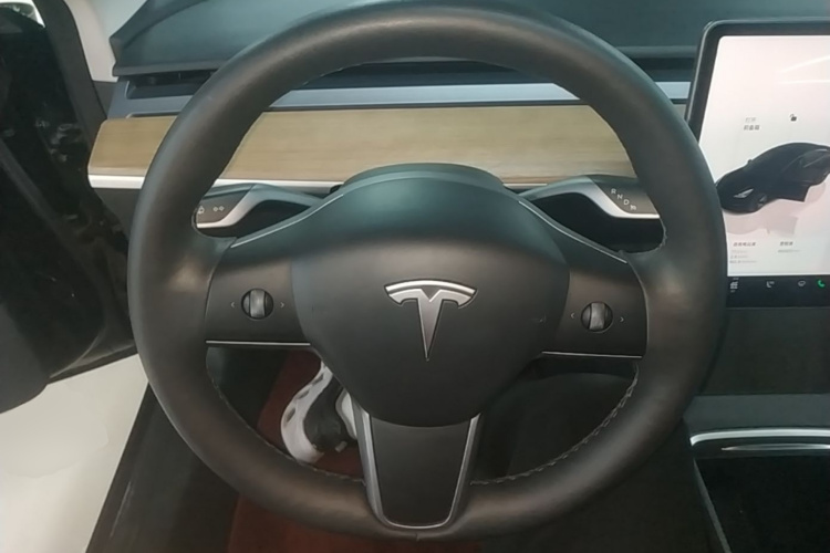 Tesla Model 3 2022 car image #11