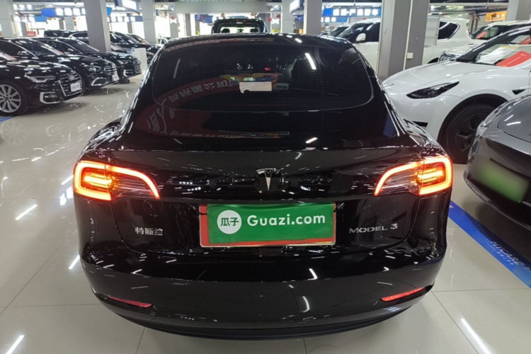Tesla Model 3 2022 #6 Tesla Model 3 2022 car image #6