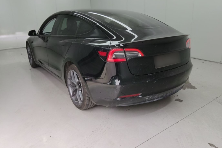 Tesla Model 3 2021 car image #7