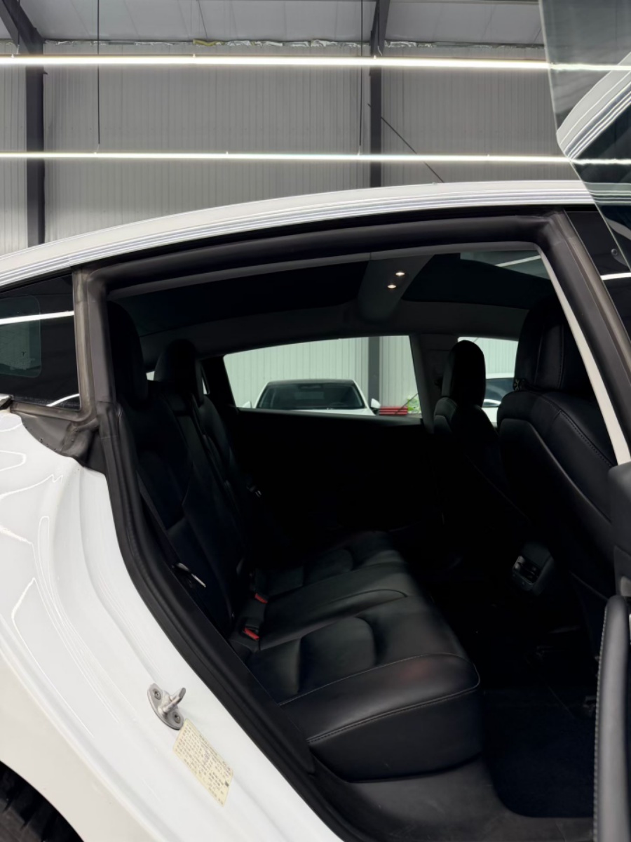 Tesla Model 3 (Imported) 2020 #6 Tesla Model 3 (Imported) 2020 car image #6