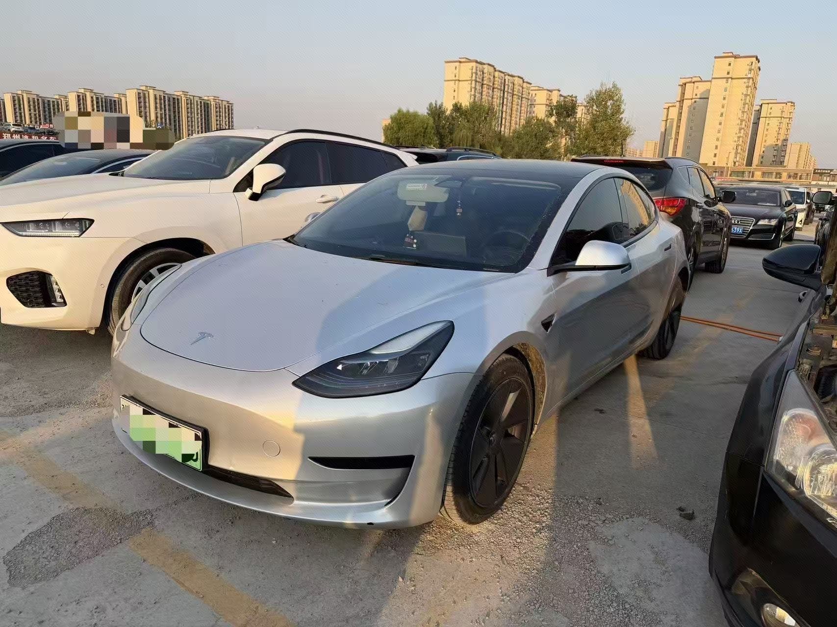 Tesla Model 3 2023 Tesla Model 3 2023 car image