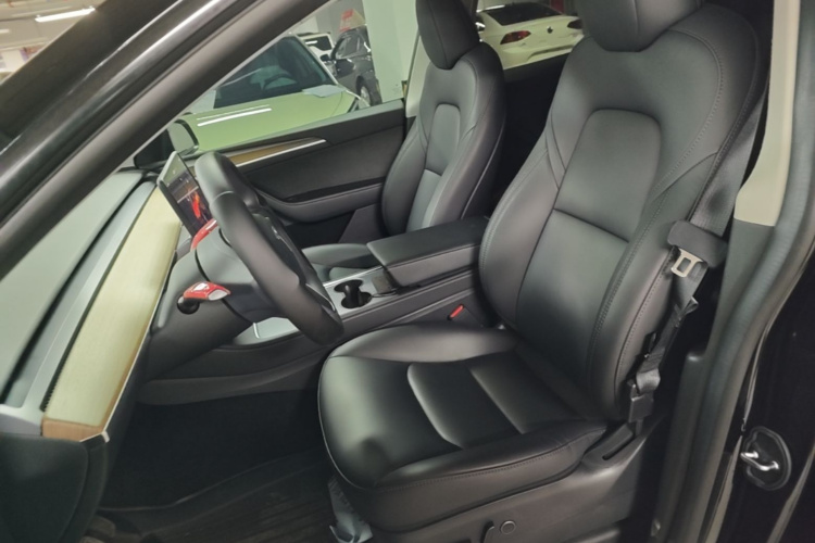 Tesla Model Y 2023 car image #15