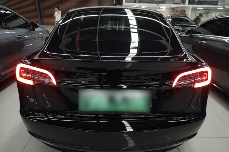Tesla Model 3 2022 car image #6
