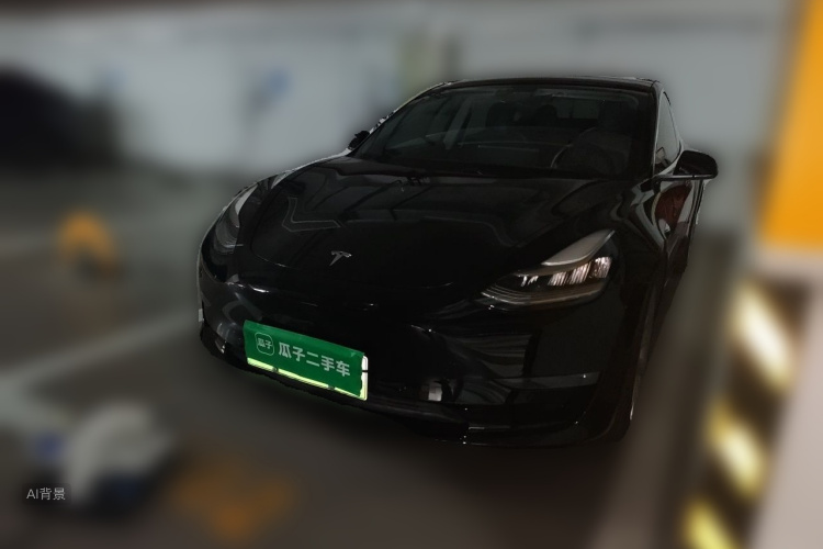 Tesla Model 3 2020 car image #2