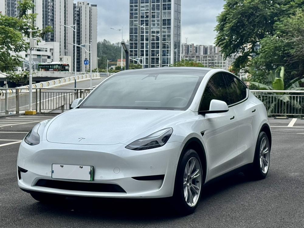 Tesla Model Y 2023 car image 
