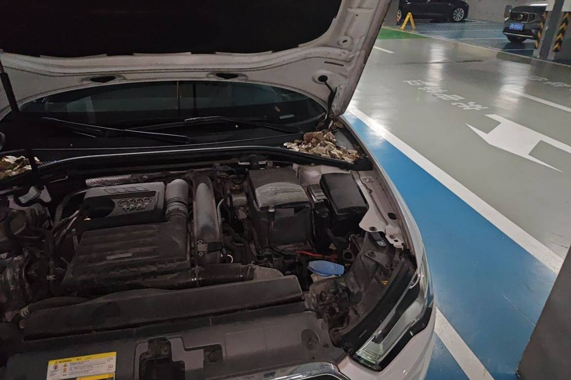 Audi A3 2015 #12 Audi A3 2015 immagine di auto #12