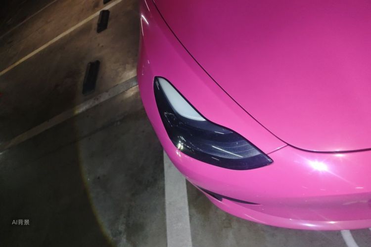 Tesla Model 3 2021 #8 Tesla Model 3 2021 car image #8
