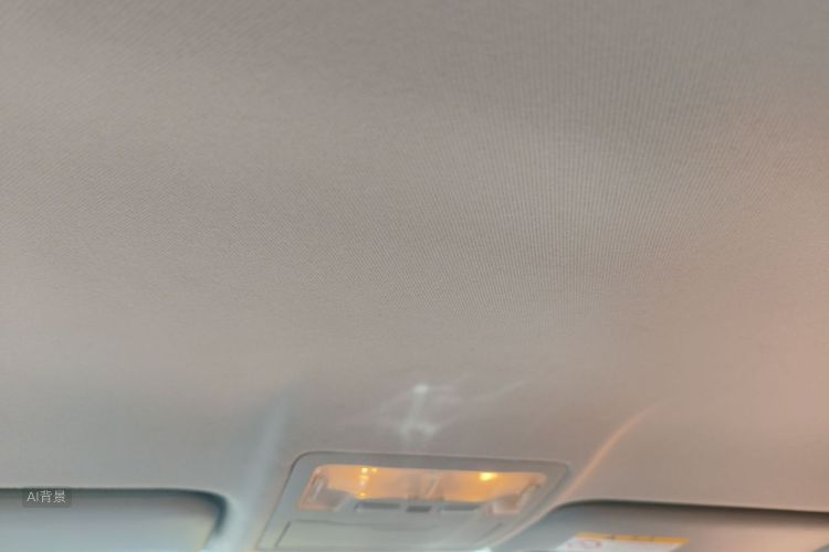 Toyota Corolla 2018 car image #20