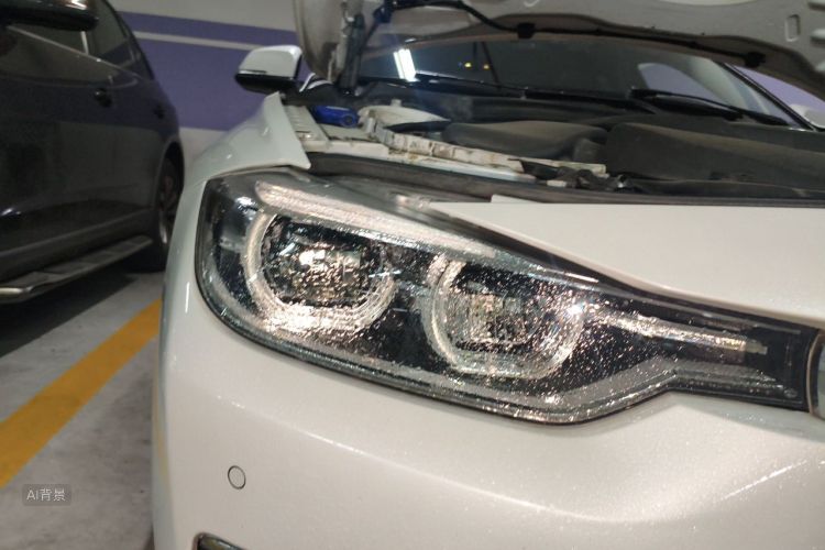 BMW 3 Series 2017 car image #8
