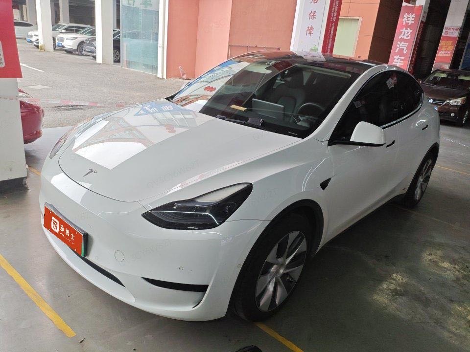 Tesla Model Y 2022 car image 