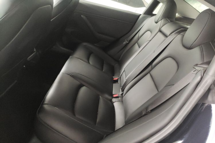 Tesla Model 3 2020 #17 Tesla Model 3 2020 car image #17