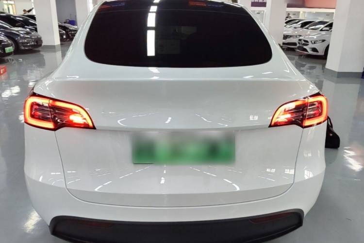 Tesla Model Y 2024 car image #6