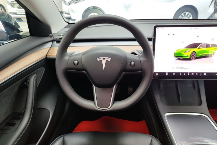 Tesla Model 3 2022 car image #15