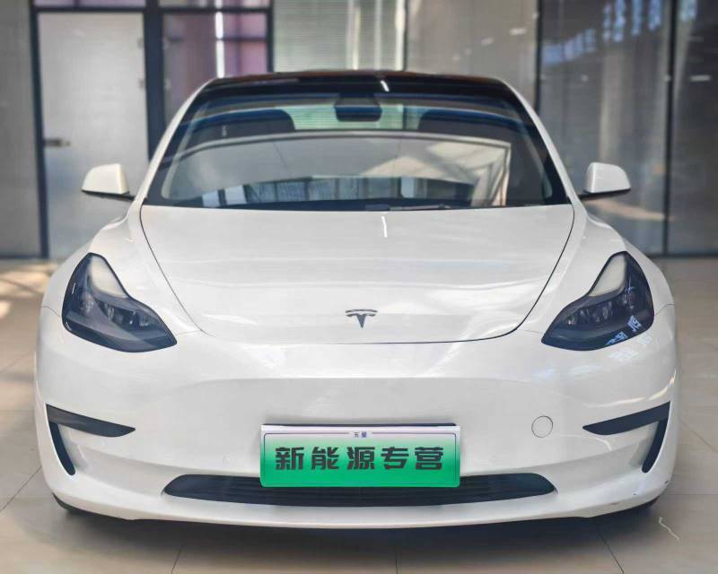 Tesla Model 3 2021 Tesla Model 3 2021 car image