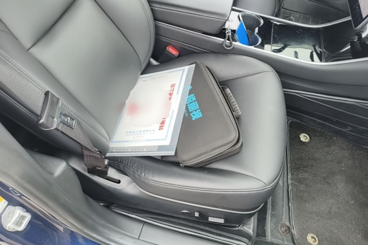 Tesla Model 3 2020 car image #24