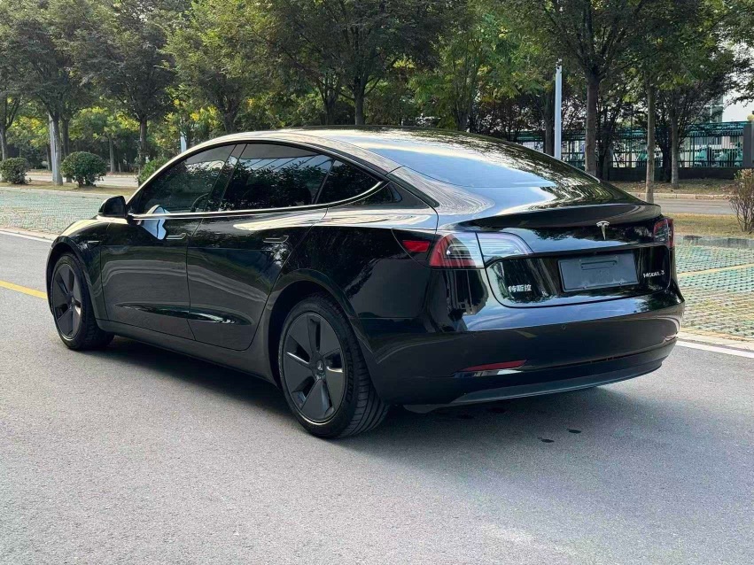 Tesla Model 3 2022 car image #6