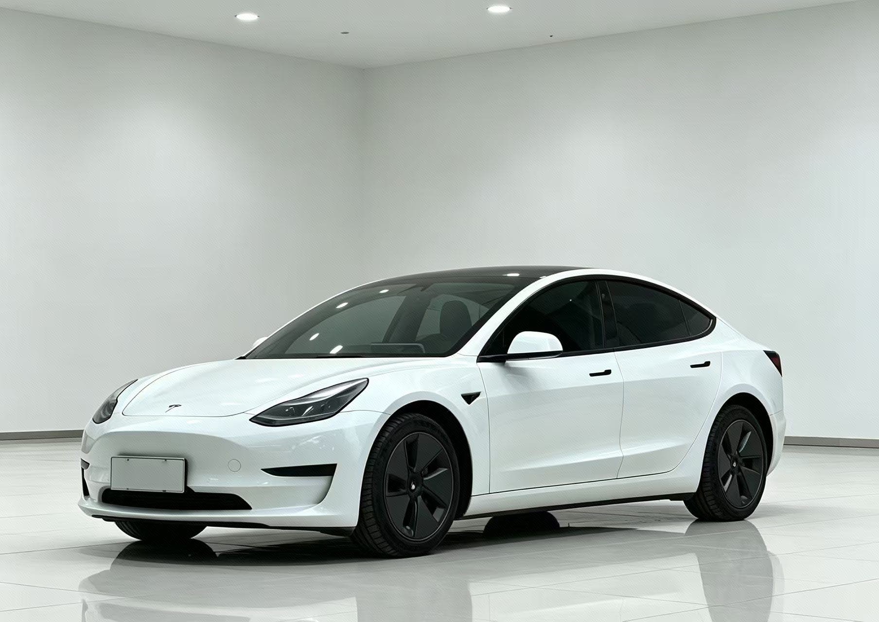 Tesla Model 3 2022 Tesla Model 3 2022 car image