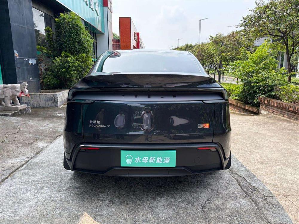 Tesla Model Y 2025 immagine di auto #6
