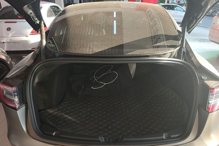Tesla Model 3 2023 immagine di auto #19