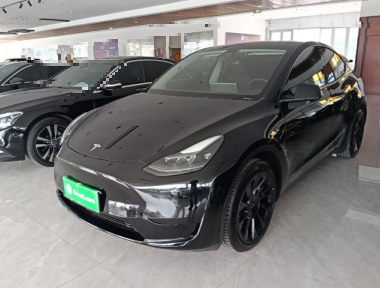 Tesla Model Y 2022 car image 