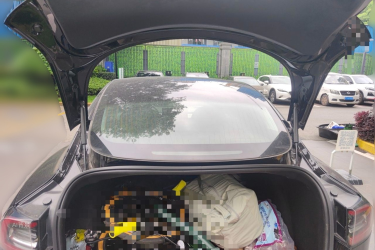 Tesla Model 3 2020 صورة سيارة #21