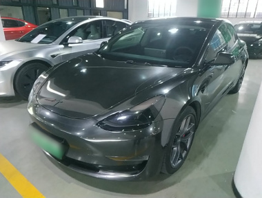 Tesla Model 3 2022 Tesla Model 3 2022 car image