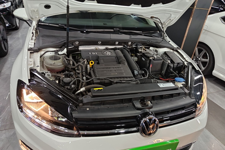 Volkswagen Golf 2019 car image #20