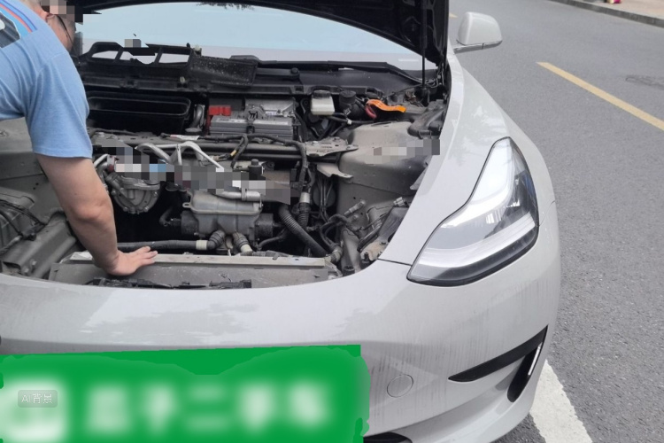 Tesla Model 3 2020 car image #22